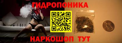 эйфоретик Аргун