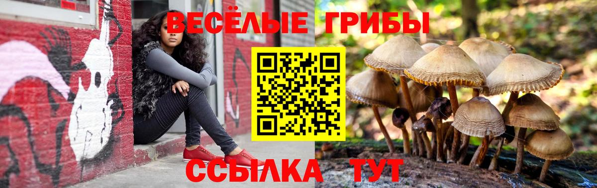 Галлюциногенные грибы Magic Shrooms Бугульма
